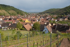 Alsace-by