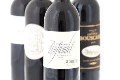 Seghesio-Zin